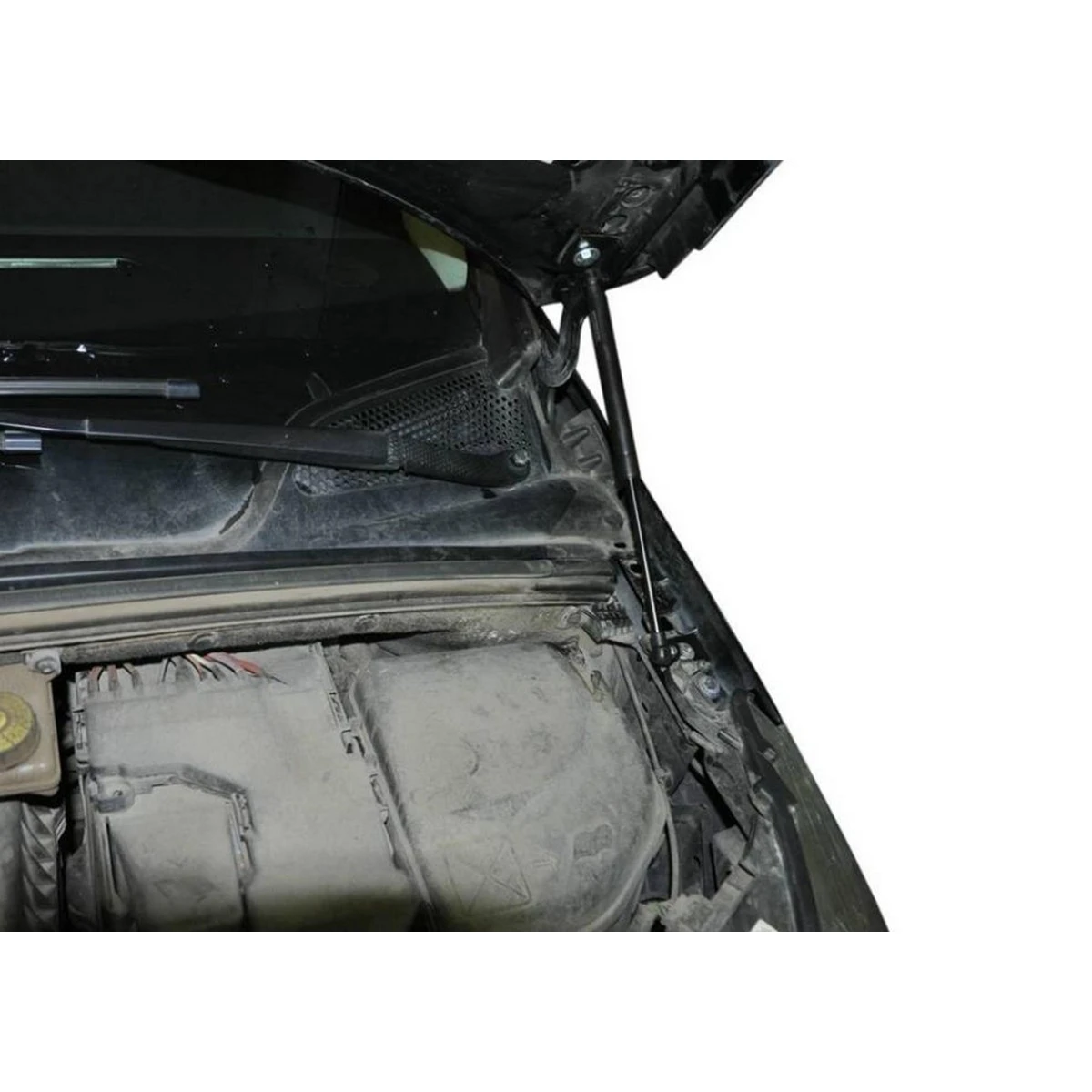 Упоры капота Rival A.ST.1201.1 (для Citroen C4 cпособствуют плавному открытию/закрытию