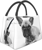 french bulldog portable insulation bagreusable lunch box container for women men office work travel beach hiking