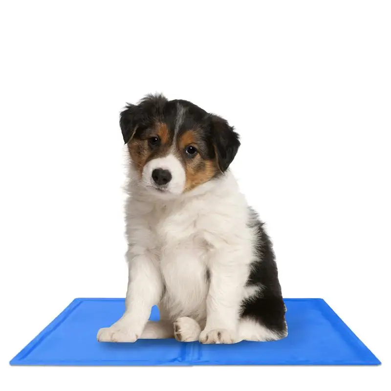 

Cooling Pad For Dogs Comfortable Pet Ice Mat With Double-layer Pressing Comfortable Gelatum Dog Cooling Mat No Need To Freeze