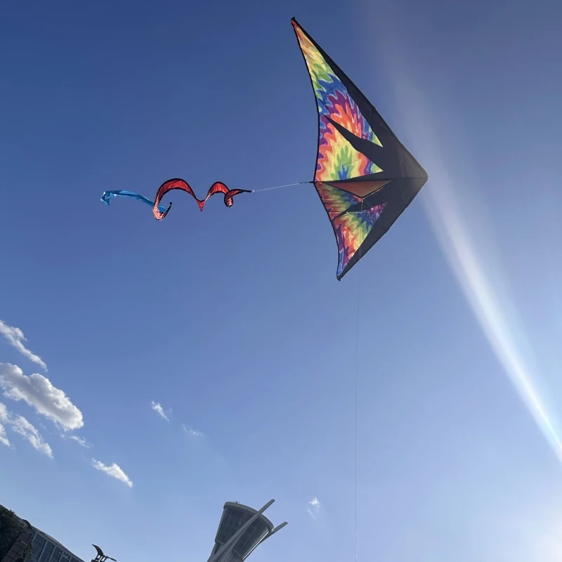 Воздушные змей delta для детей нейлоновая ткань Рипстоп летающий дракон активного