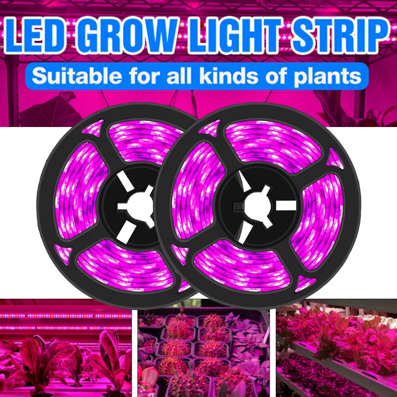 

DC12V 1 Roll 5m SMD 5050 LED Grow Light Strip 60leds/m for Greenhouse Hydroponic Plant Growing Flower and Vegetable Breeding