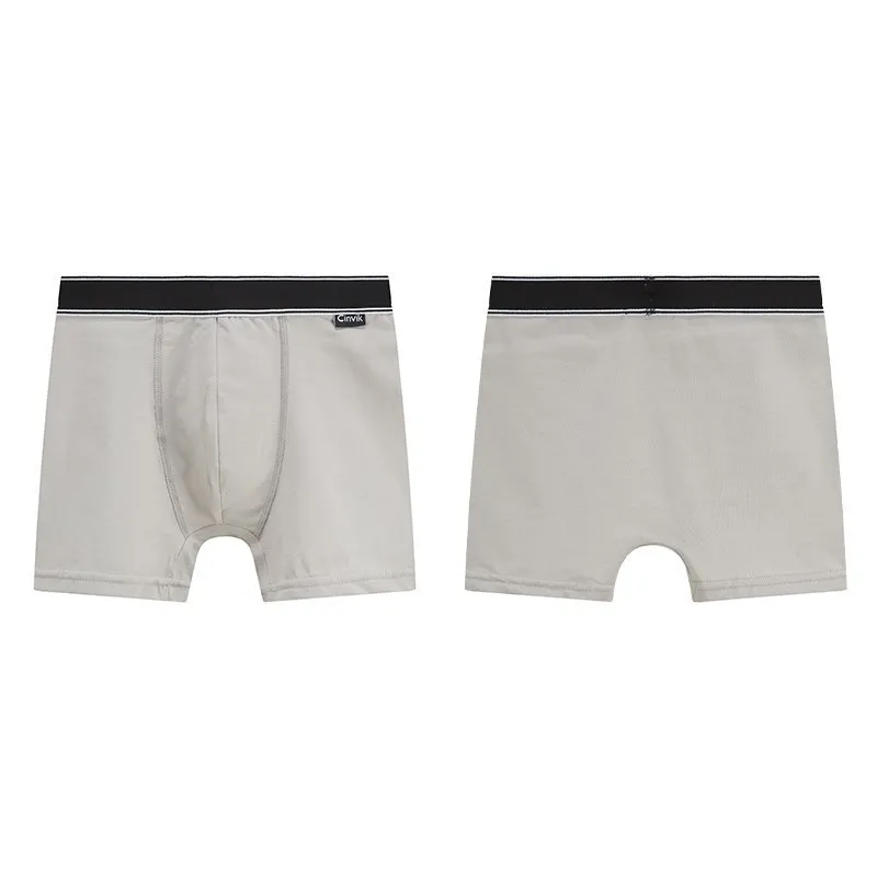 4Pcs Set Men Panties Boxers European Size Shorts Cotton Underpants Male Underwear for Man Sexy Homme Lingerie Boxershorts