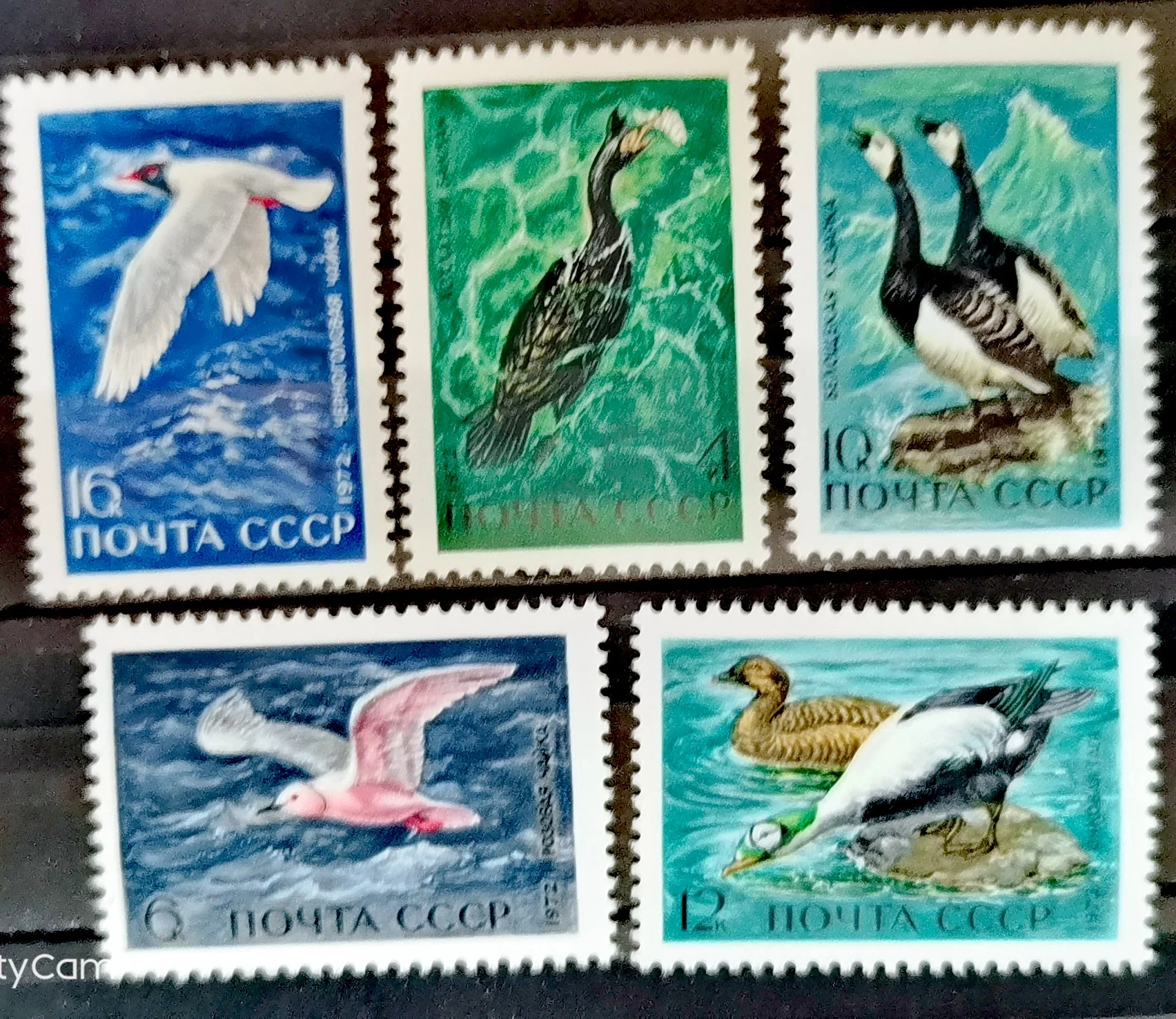 

Новинка, почтовые штампы СССР 1971 с изображением Бережных птиц, 5 шт./компл.