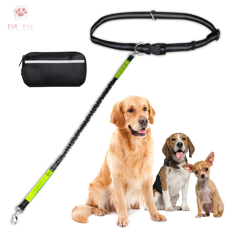 

PAWPAW Sports Waist Pack Dogs Leash Leads Harness Viral Pets Accessories Puppy Fashion Walking Equipments Reflective Stripe