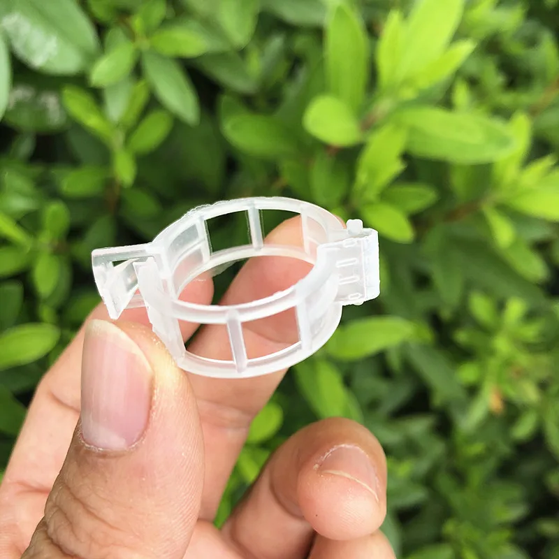 

50/100Pcs Plastic Plant Clips Supports Connects Reusable Protection Grafting Fixing Tool Gardening Supplies for Vegetable Tomato