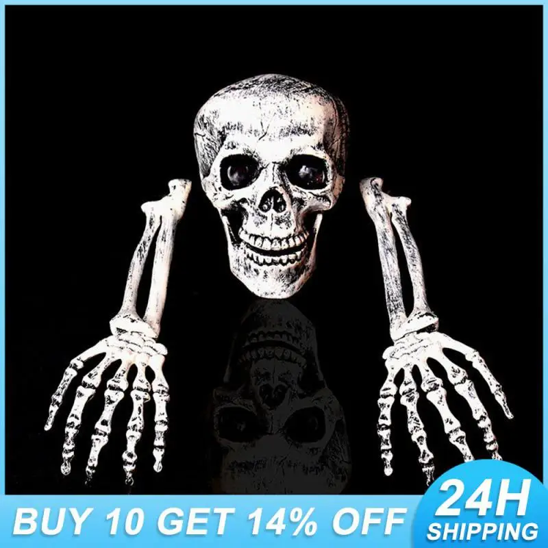 

Unique Halloween Skull Decoration Realistic Design Horror Horror Theme Simulated Skeleton Exquisite Details 26 * 15 * 18cm