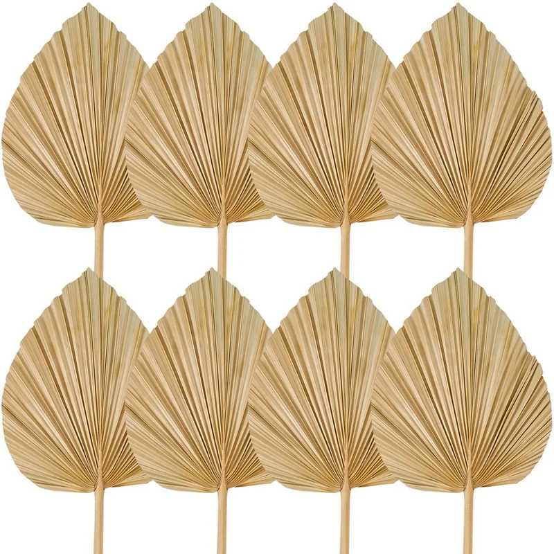 

8PCS Dried Palm Leaves Decorations Trimmed Dried Palm Spear Palm Fans Tropical Dried Wedding Flowers Boho Wedding Decor