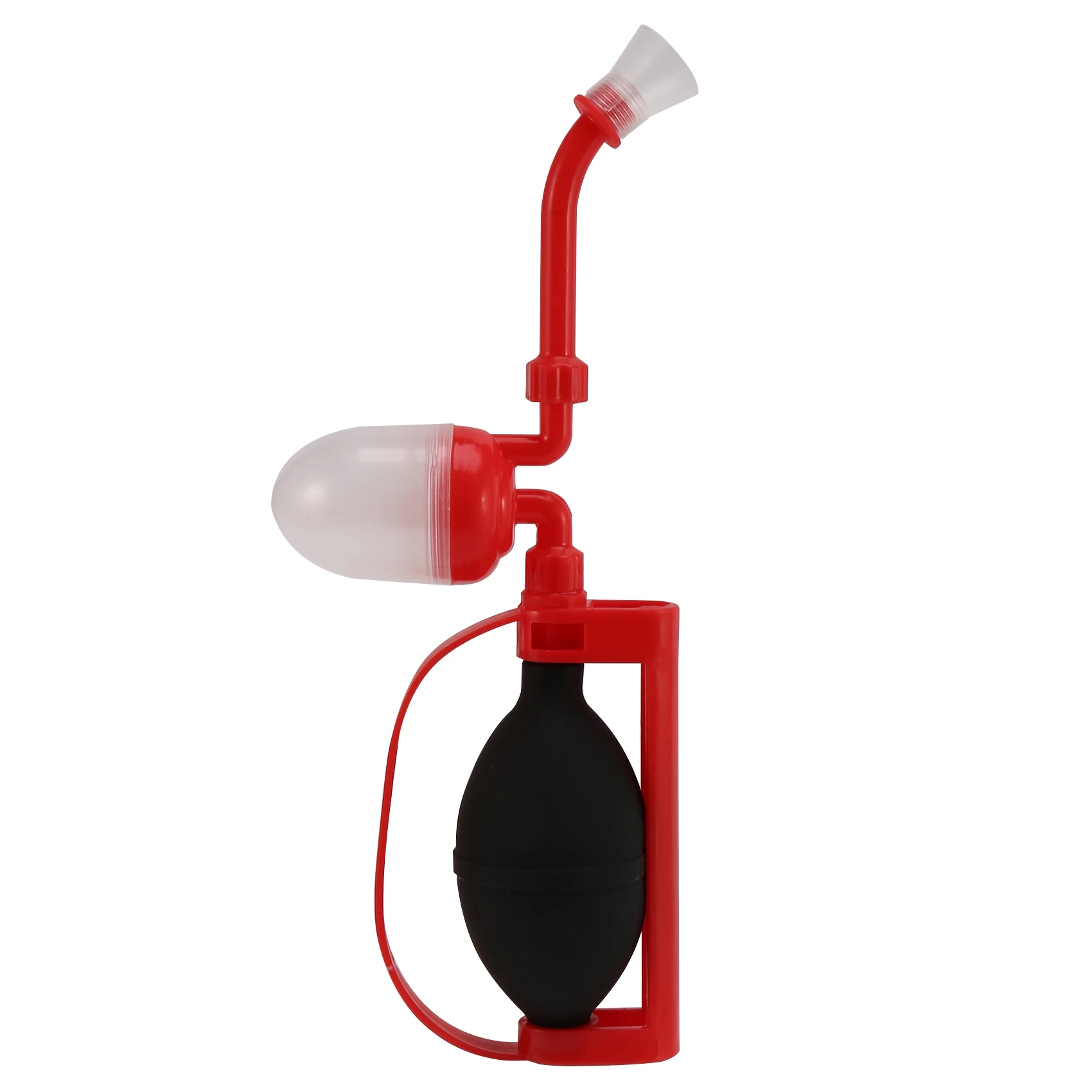 

Опылитель томатов, опылитель томатов, персикового дерева, груши, киви, растение, фруктовый цветок, опылитель