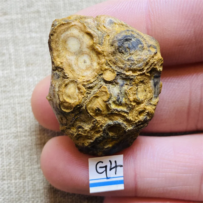 Энергетический кристалл Гоби  pinhan