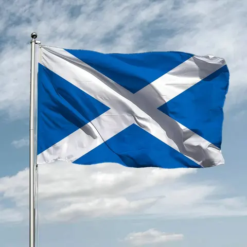 Бесплатная доставка, шотландский Флаг 90x15, 0 см, высококачественный двухсторонний печатный баннер из полиэстера Scottland, шотландский национальный баннер для декора