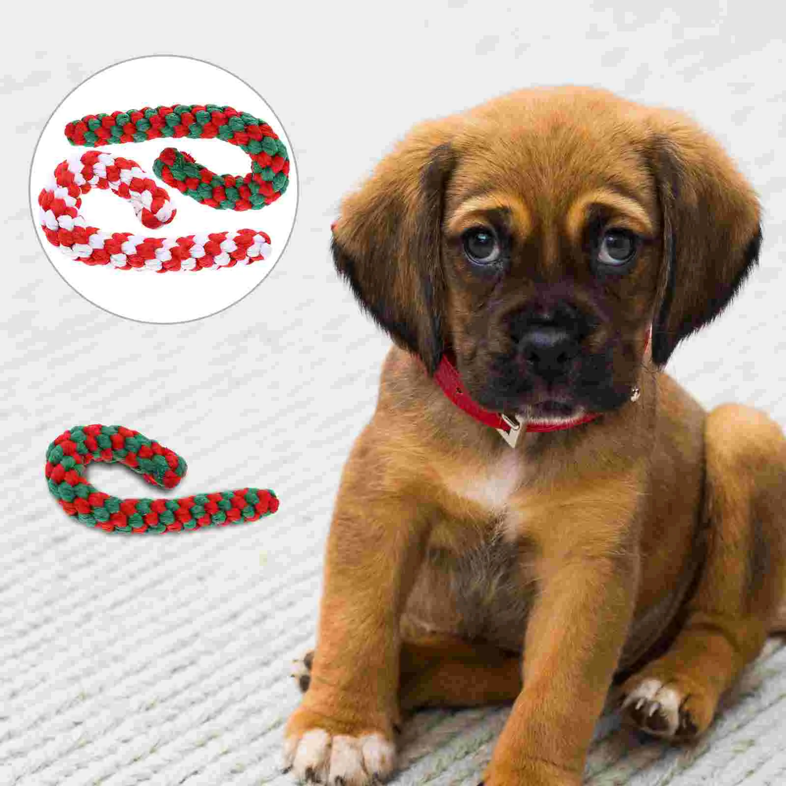 

Toypet Dog Rope Christmas Chewing Chewer Molar Chew Puppyteeth Teething Holiday Biteresistant Stocking Stuffers Play Tugdogs