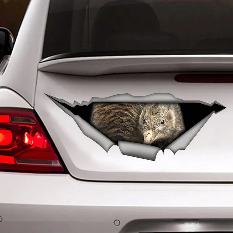 

Наклейка, наклейка для автомобиля Kiwi, наклейка для Кайви, птица