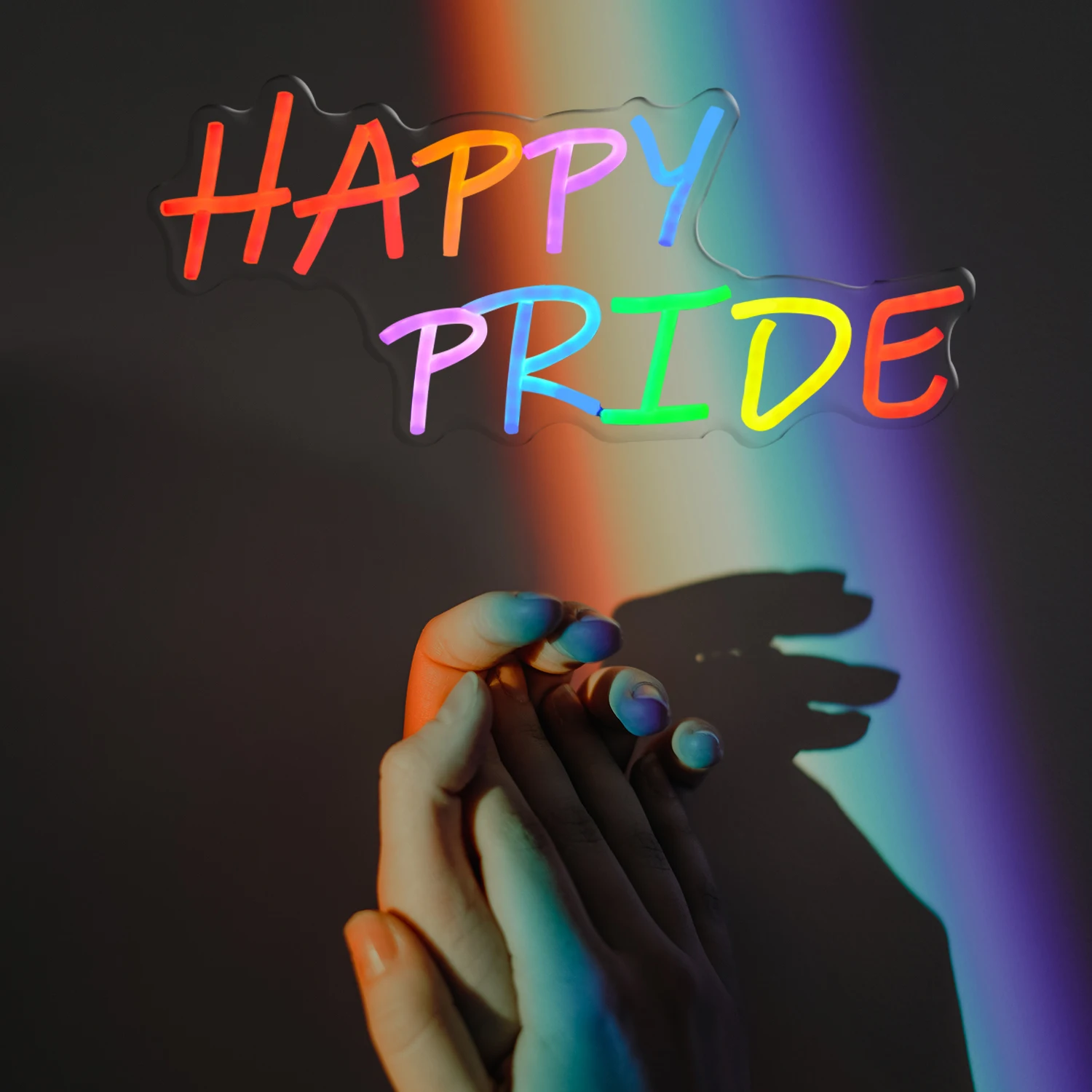 Рисунок 5 - Неоновые знаки счастливой гордости