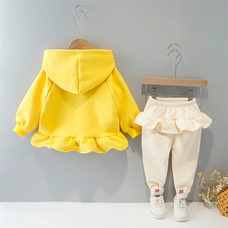 Spring Autumn Baby Girls Hooded Lace Plush Sweater Pants Kids Sportswear Children Clothing Sets Outdoor Infant Clothes Outfit