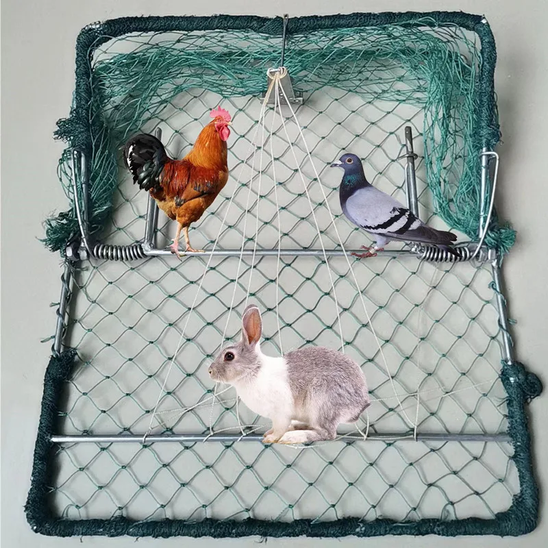 Humane Bird Net Quail Gardening Supplies Pigeon Traps Dirt Net for Birds 24''X20''
