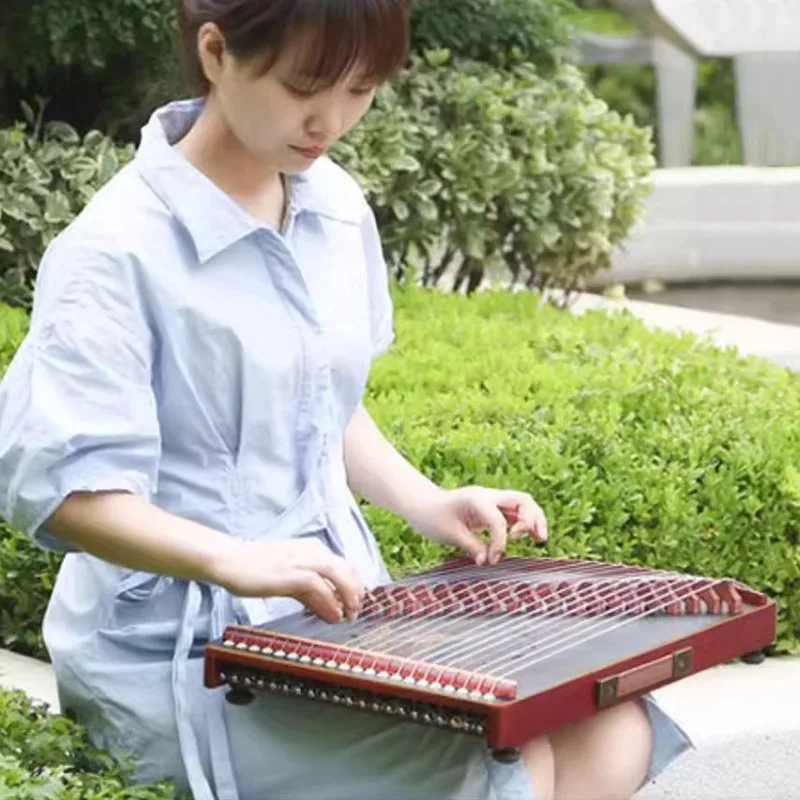 21 струна Guzheng портативный профессиональный макияж для упражнений Традиционный