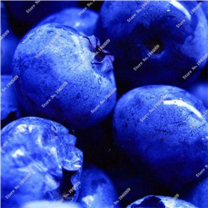 Ароматерапия с черникой ароматные растения фрукты ароматическая свеча 100 шт. -