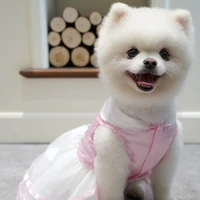 dog wedding dress sleeveless pets princess skirt butterfly puppy clothes lovely summer cat party outfit fashion animal products