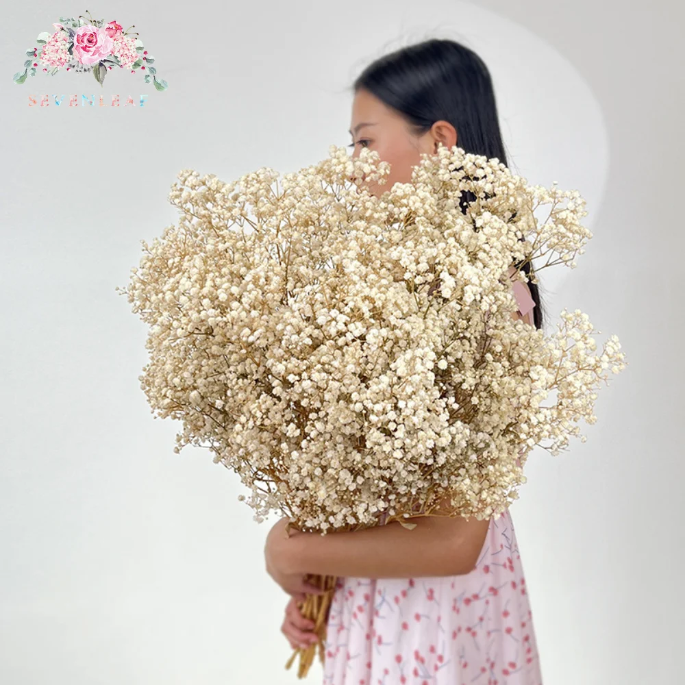 

Natural Fresh Dried Preserved Flowers Gypsophila Eternal Breath Bouquets Valentine's Day Gift Wedding Boho Home Decor Paniculata