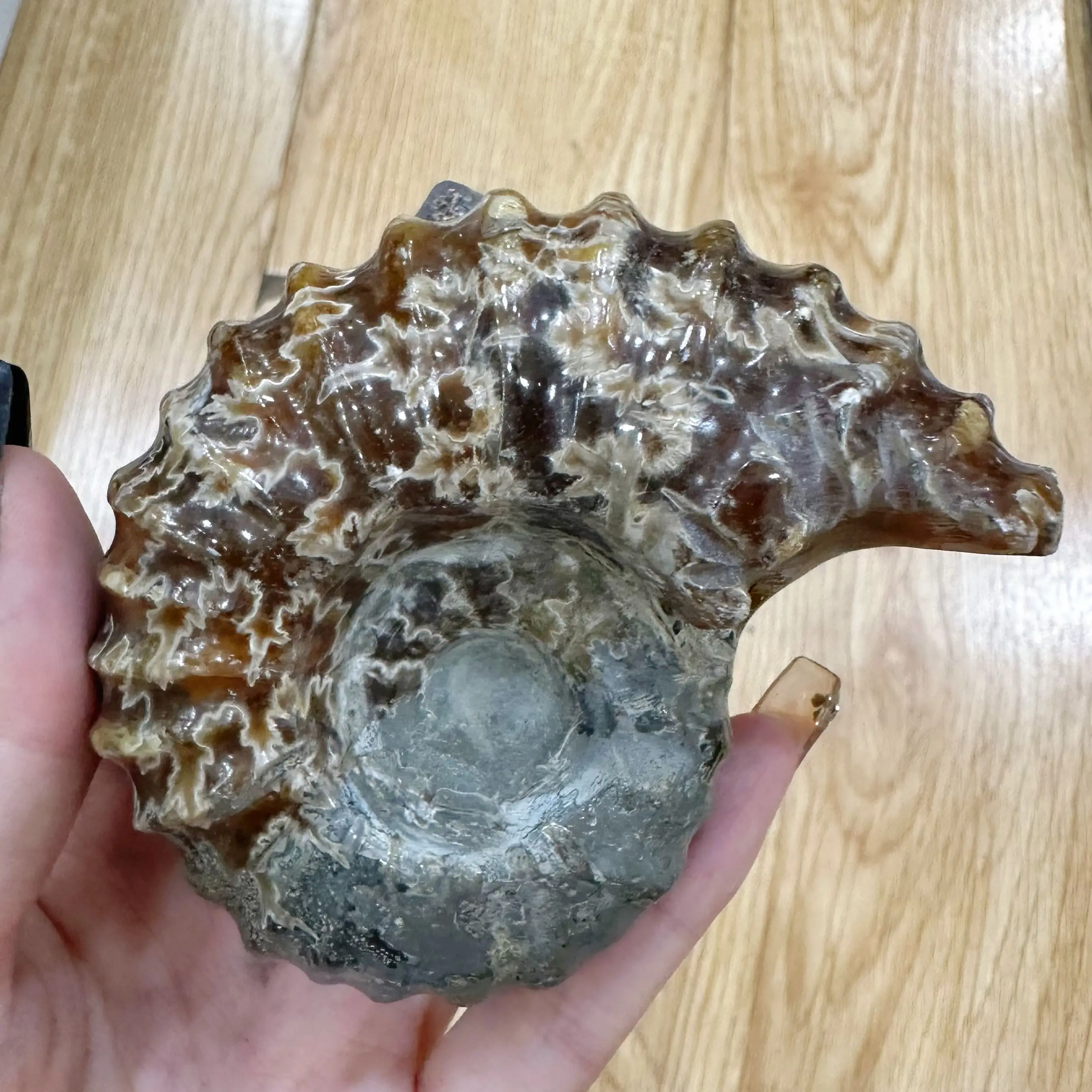 Натуральный кристаллический кварцевый свиток, 300 г, энергия рейки, Корн-гудок, образец улитки, необработанный товар