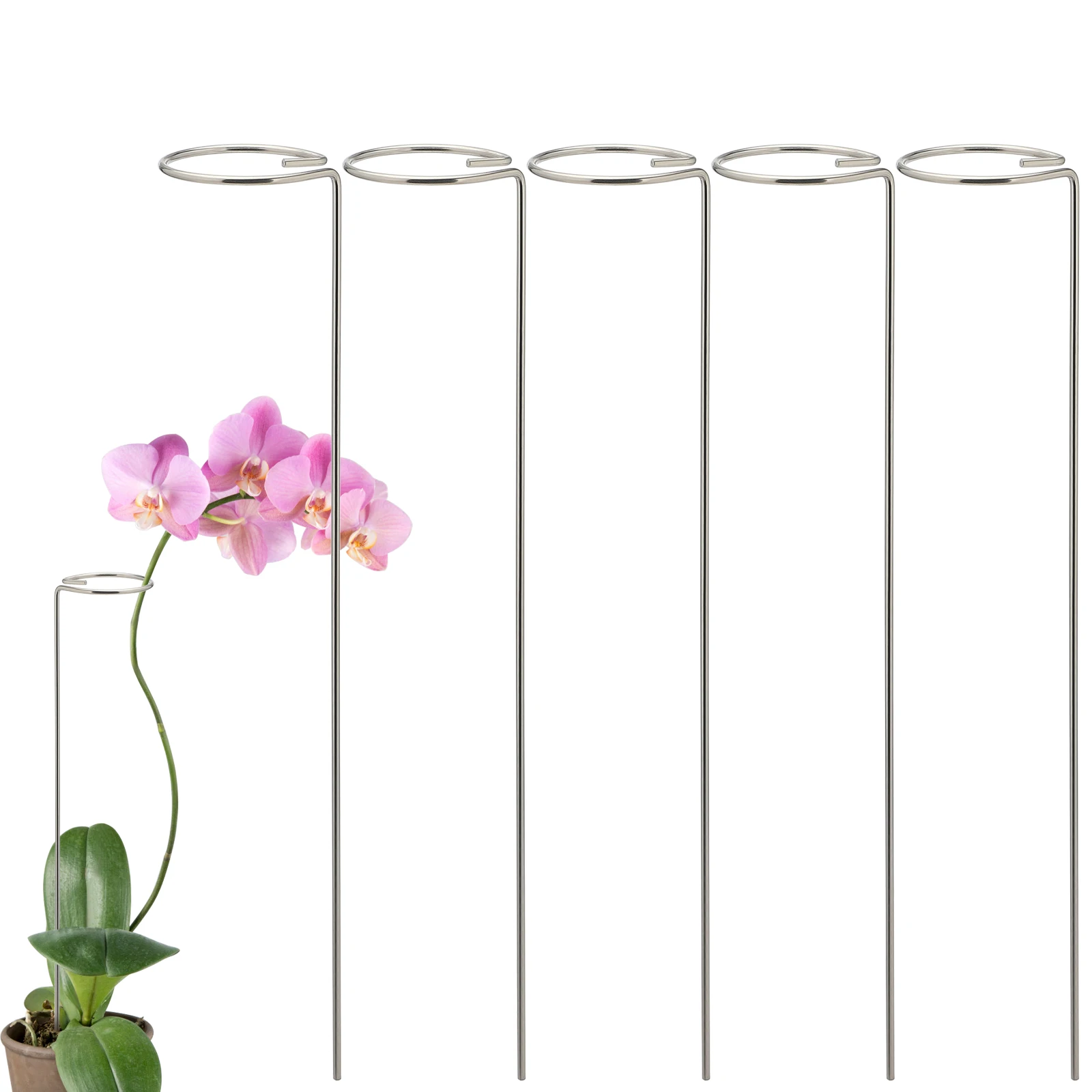 

Plant Cage Support Rings Stakes Sunflower Orchid For Phalaenopsis Durable Stainless Steel Garden Tall Single Stem