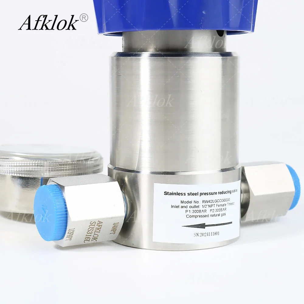 RW42 Редукционные клапаны высокого давления из нержавеющей стали 60 МПа для азота и