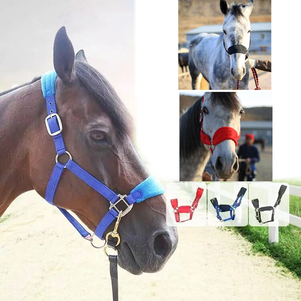 

Zachte Gewatteerde Pony Paard Halter Hoofdstel Hoofd Kraag Paardrijden Stabiele