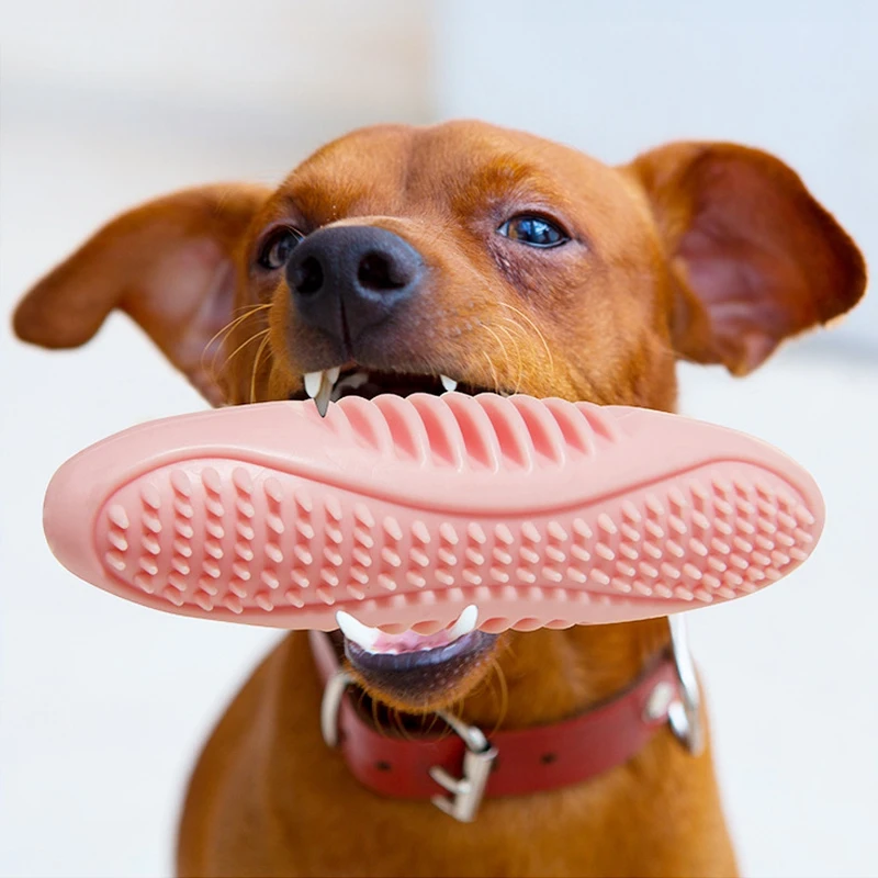 

1pcs Pet Dogs Toys Chew Squeaky Rubber Toys for Cat Puppy Baby Dogs Non-toxic Rubber Toy Funny Bone Ball Interactive Game