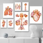 Медицинская Настенная картина с изображением анатомии человека, фотография мышц, скандинавский холст, печать, обучение, живопись, современный декор