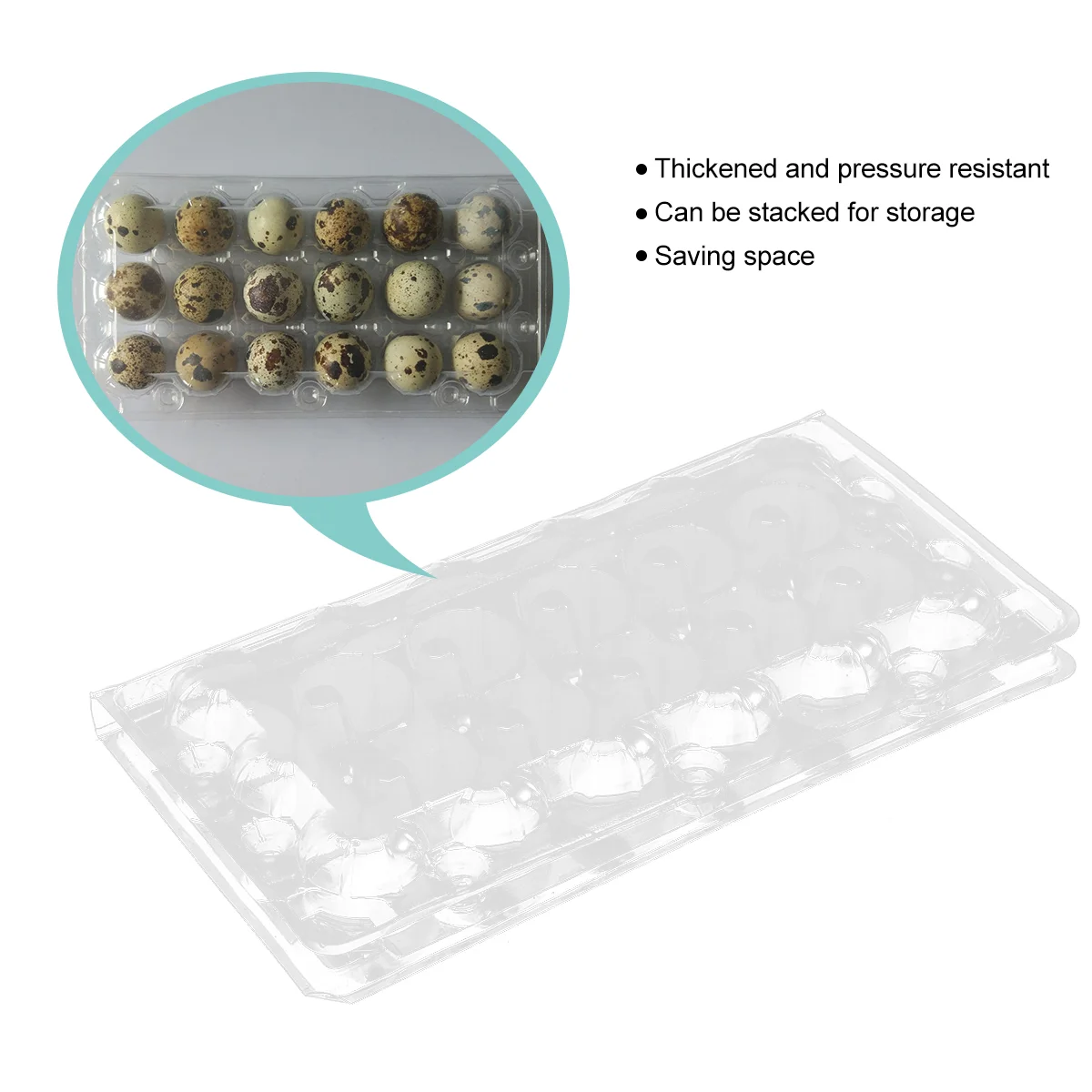 

Egg Quail Box Cartons Storage Holder Carton Bulk 50Pack Carriage Mini Grid Tray Containers Fridge Clear Reusable Refrigerator