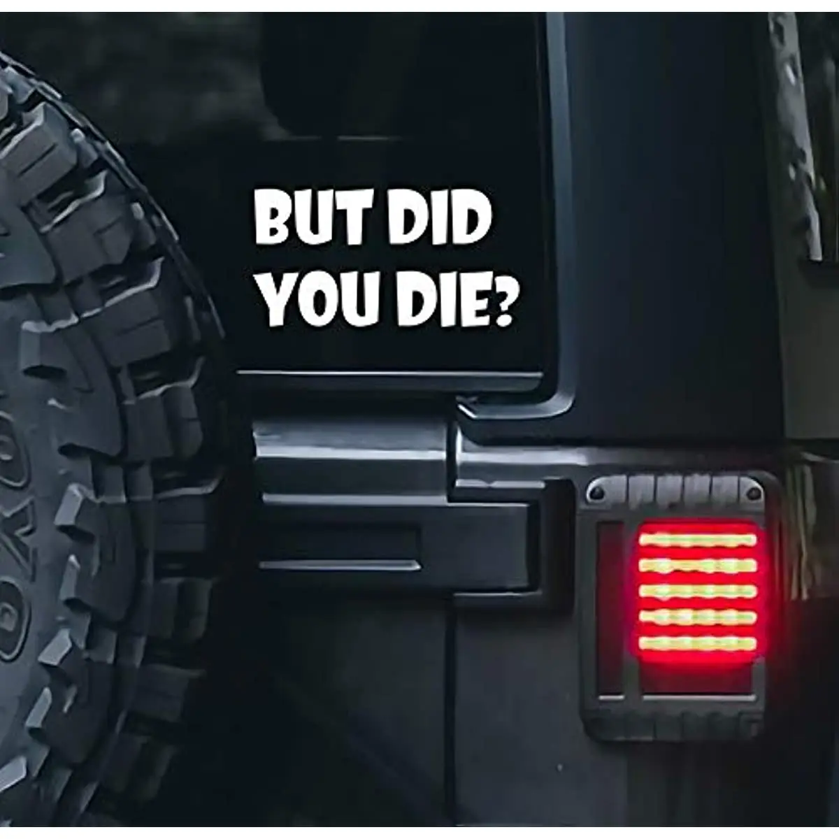 

But did You die Funny car Vinyl Sticker for car Window Decals Car Truck Bumper Fender Laptop Trunk Motorcycle(White)