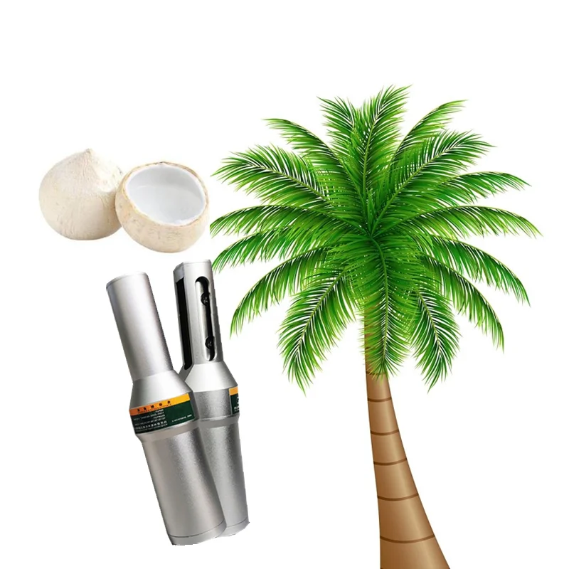 

Home use hand hold electric coconut brown skin peeling removing machine