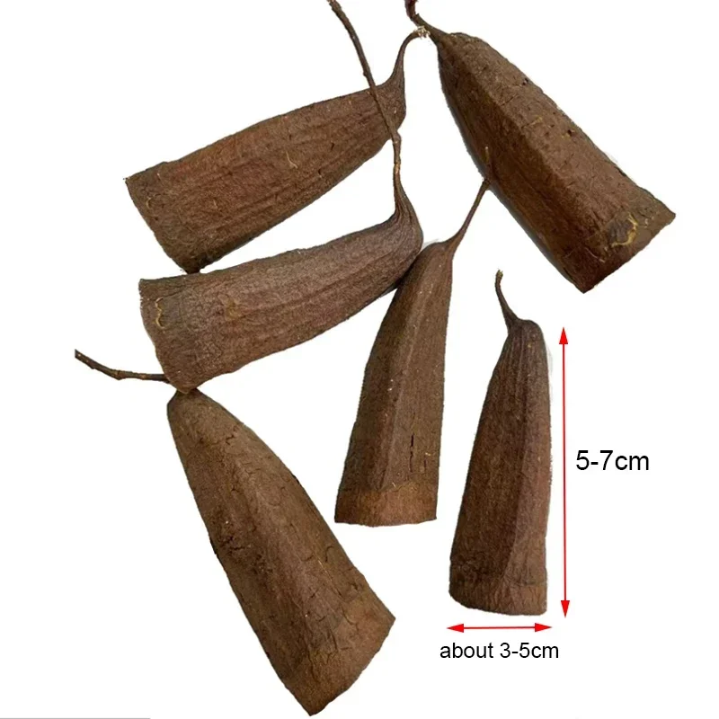 Натуральное Украшение Для Аквариума Пещера Cichlid Репродукция Среды Обитания рыба