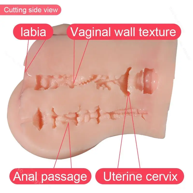 Сексуальный торс искусственная вагина эластичность анальный все для мужского