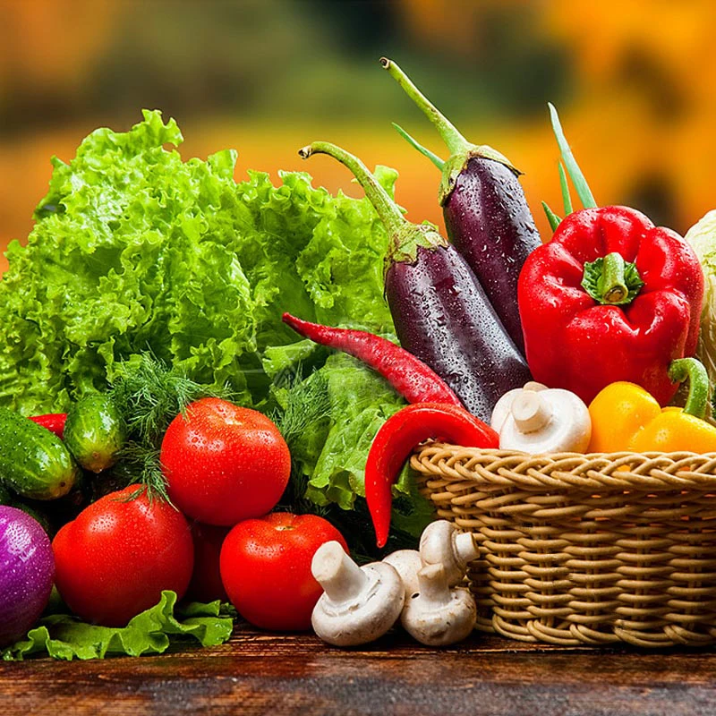 Совместимый картридж PG240 CL241 для Canon PIXMA MX452 MX459 MX479 MG2120 MG2220 MG3520 MG3522 MG3620 MG4120 MG4220 TS5120