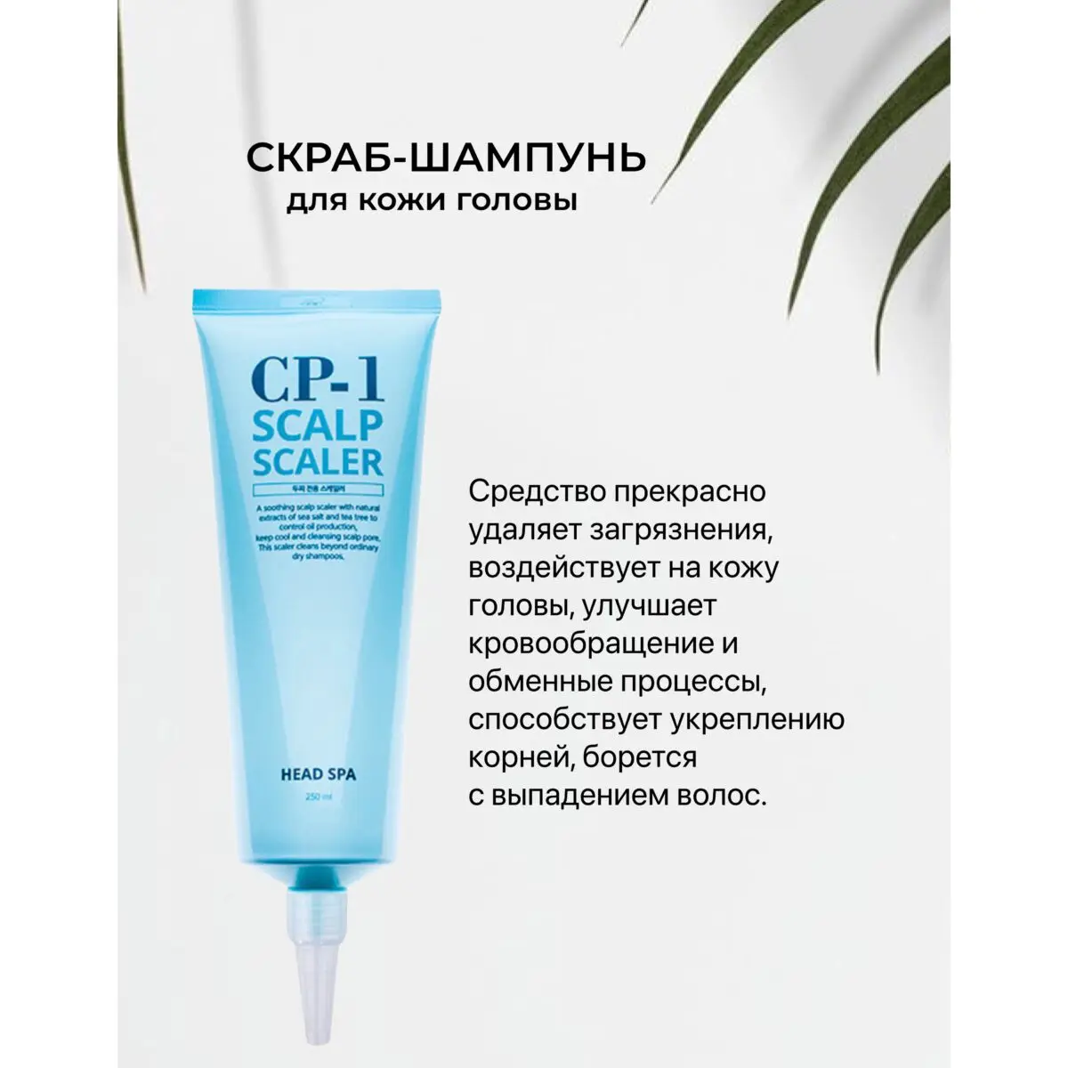 Esthetic House Профессиональное SPA средство для глубокого очищения кожи головы CP-1 Head Spa