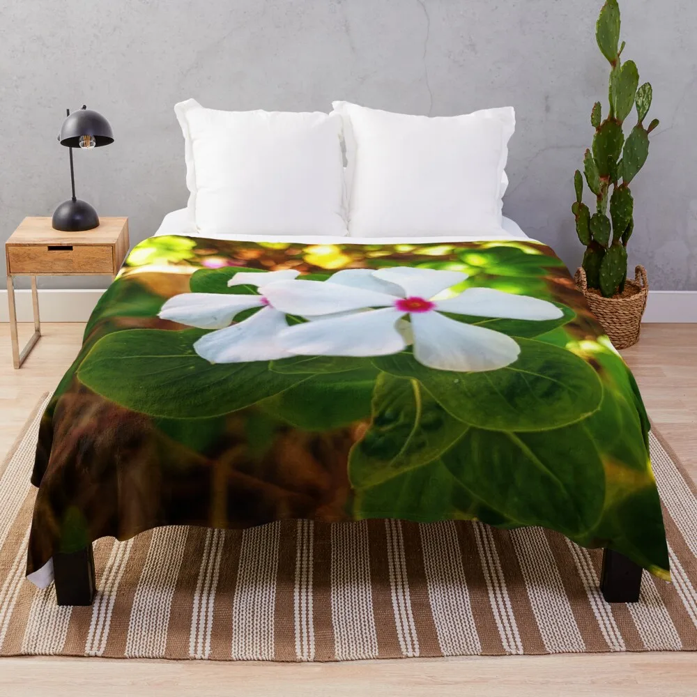 

Катрантус, плед, одеяло, пушистое одеяло, огромное диванное одеяло