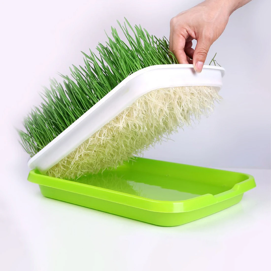 

Sprouting Tray Double Layer Pea Mung Bean Peanut Wheat Hydroponic Sprout Plate Seedling Sprouter Cat Grass Soilless Planting Pot