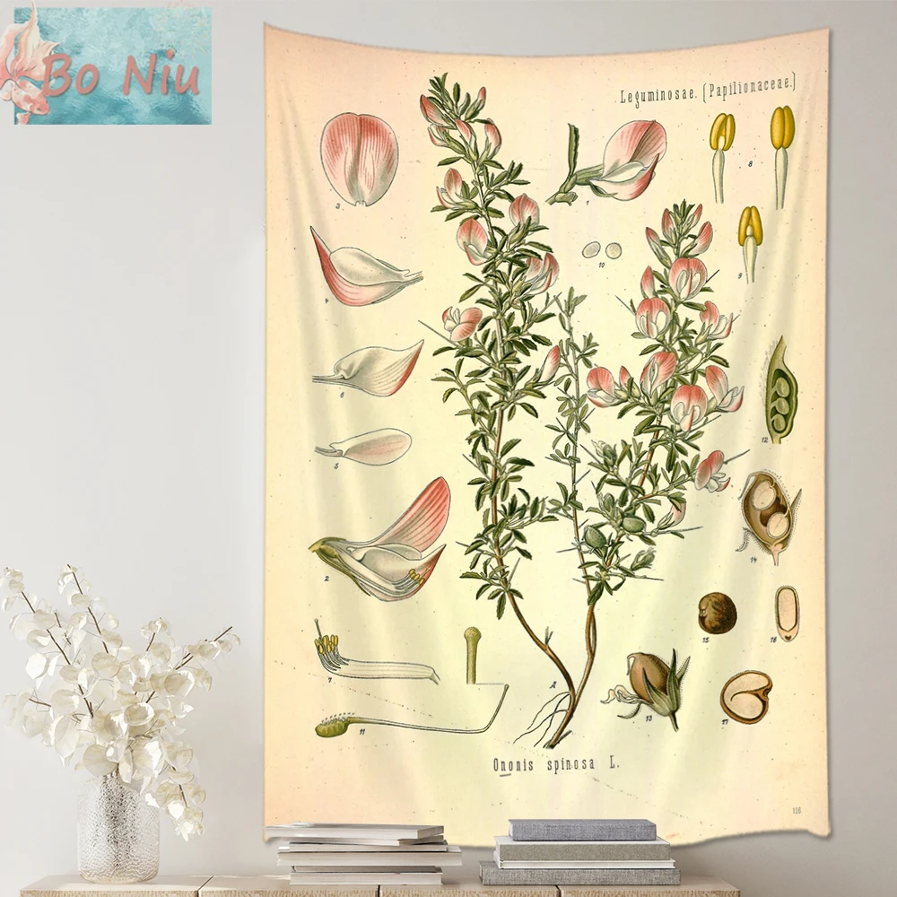 

Herbs Plant Vintage Botanical Wildflower Tapestry Wall Hanging Identification Reference Chart Cottagecore Decor For Dorm Bedroom