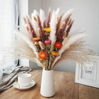 ins wind reed buddha dust daisies bouquet of dry flowers living room tea table soft decoration diy flower arrangement