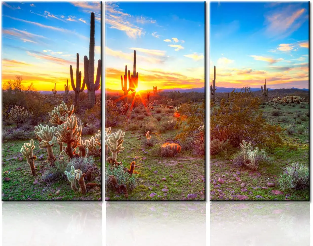 3 шт. Оригинальные американские плакаты Sonoran Desert возле Феникса США ландшафт