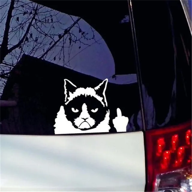 

Cat Funny Joke Sticker Sealing Sticker 19CM