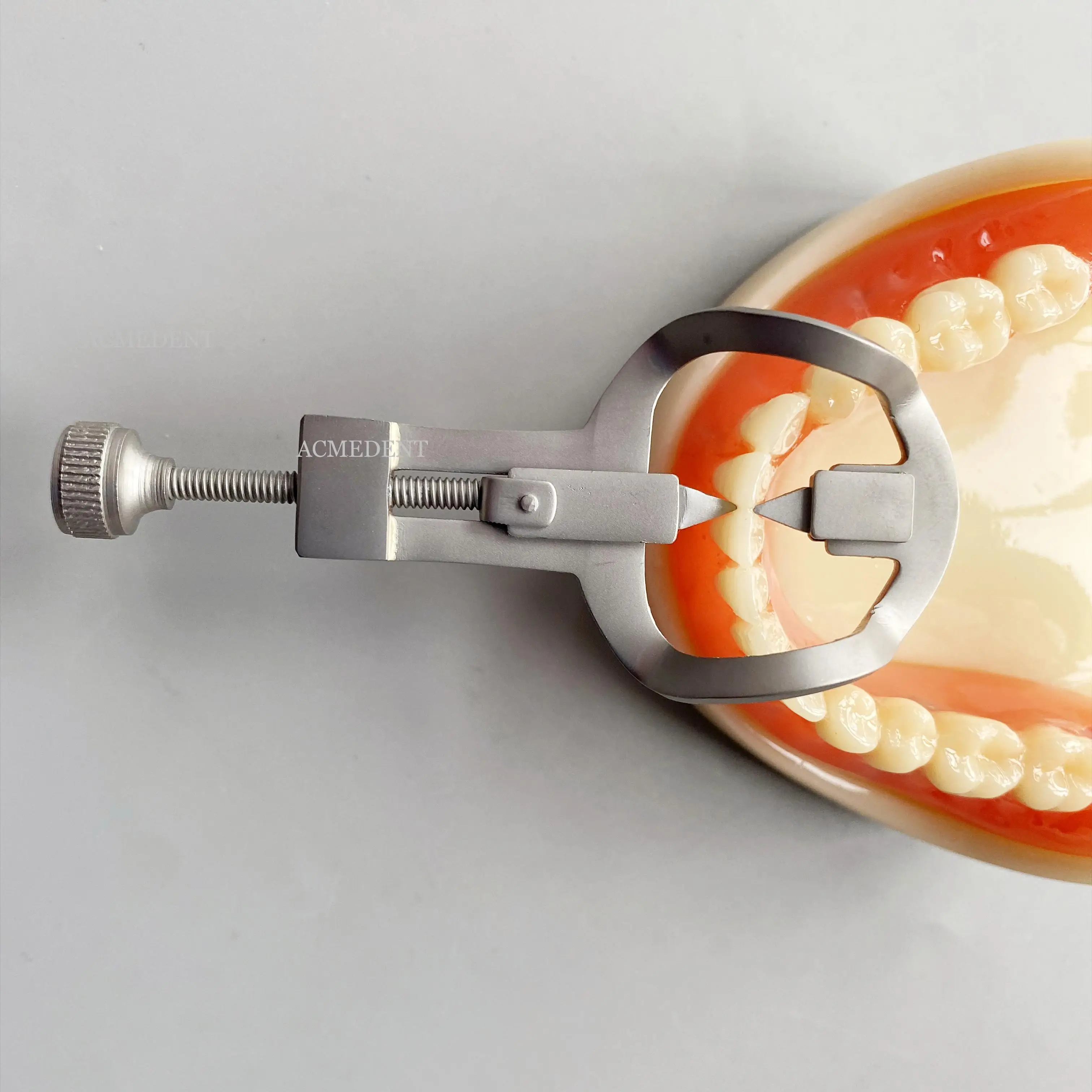 2 шт. перегородка для зубов