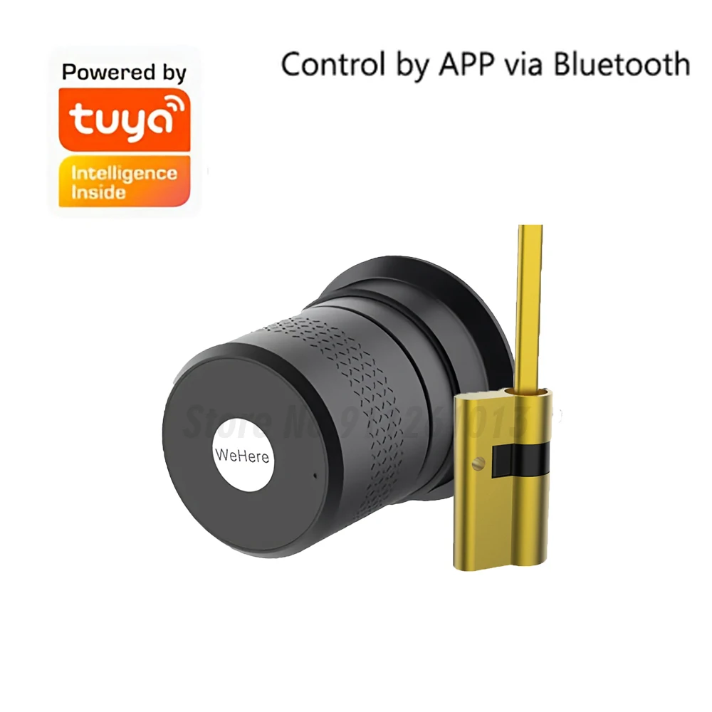 Умный дверной замок Wehere M521 Tuya