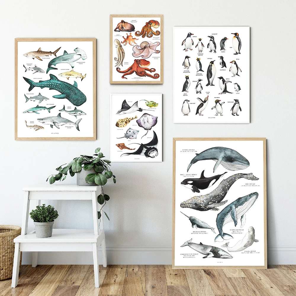 

Child Poster Rays Octopus Whale Shark Marine Animal Nursery Canvas Painting Wall Art Print Education Picture Baby Kid Room Decor