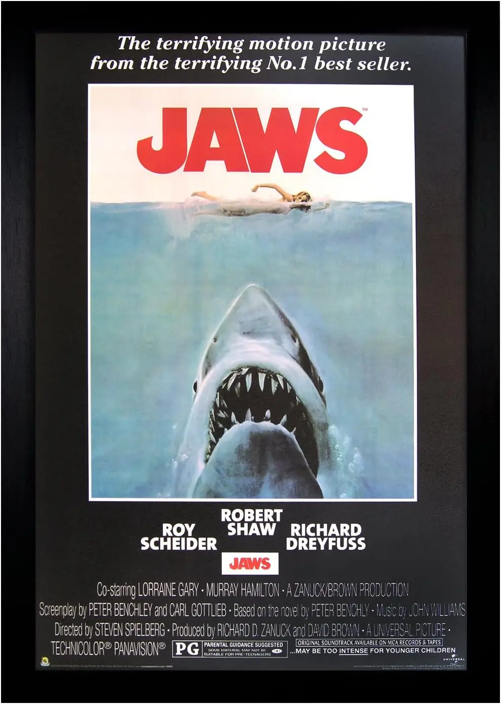 

Movie, Great White 24x36 Framed Poster (C2-1055) Photo card holder Kpop Photocard binder Wall decororation Kpop photocard holde
