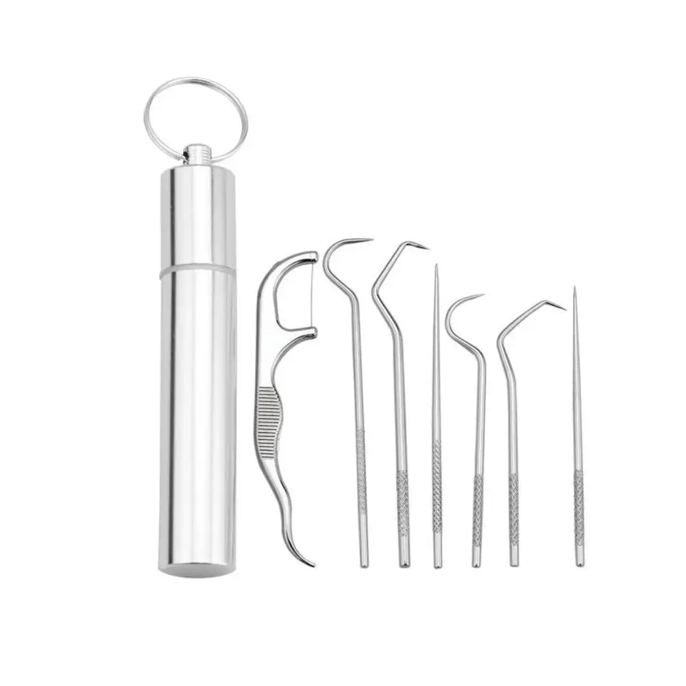 

4/7pcs Toothpick Set Metal Steel Cleaning Tooth Flossing Portable Toothpick Floss Teeth Cleaner with Storage Tube