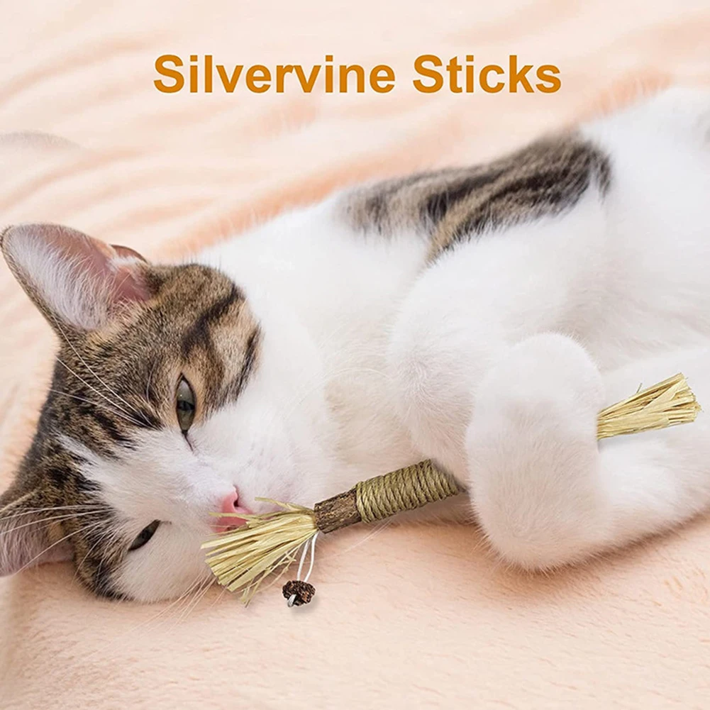 

Safe Cat Snacks Sticks Cleaning Teeth Natural Kitten Sticks Toys Molar Bite Cat Stick Treat Relieve Stress Pet Supplies
