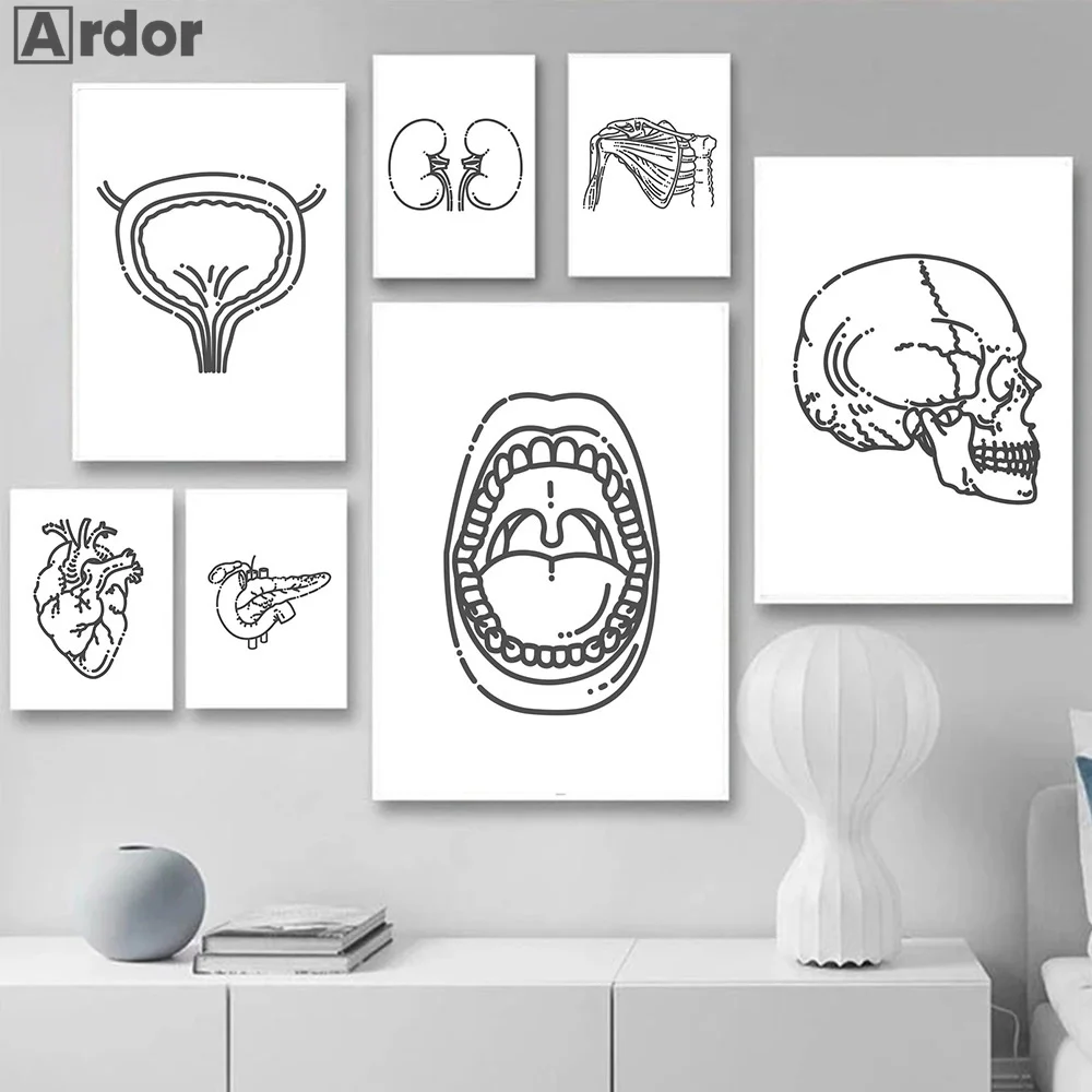 Абстрактная живопись человеческой анатомии Череп кость скелет сердце легкие