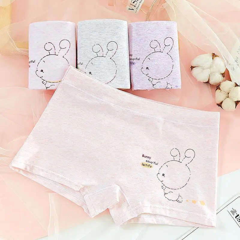 

2023 4Pcs/lot Kid Girls Panties Children's Underwear Kids Cotton Breathable Boxers Cartoon Underpants Young Girls Briefs 2-14T